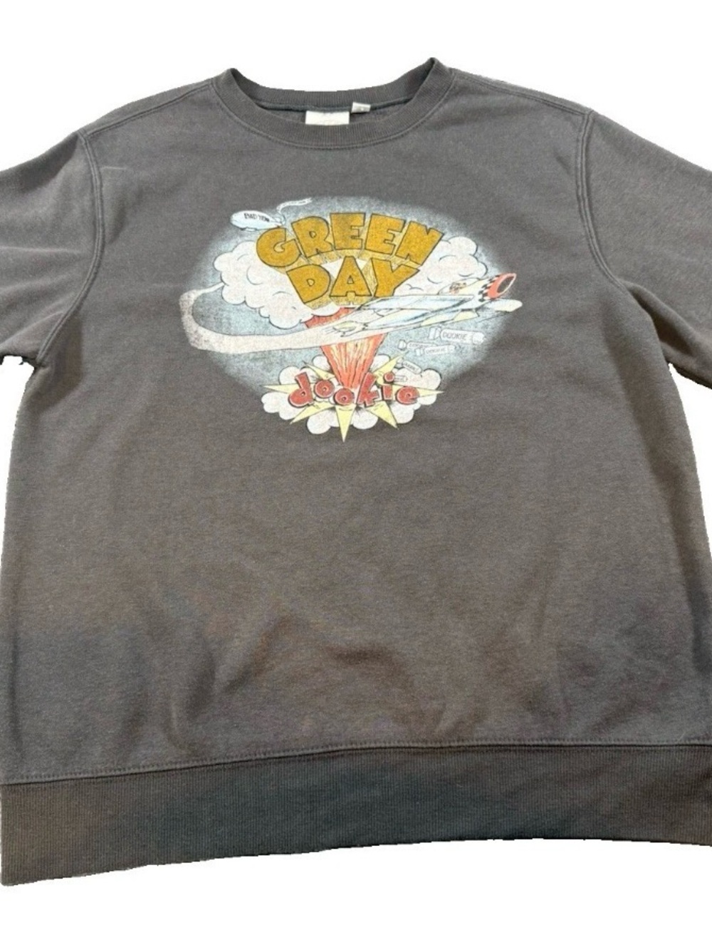 Green Day Dookie Graphic Sweatshirt Gray Crewneck Size Medium Distressed Band